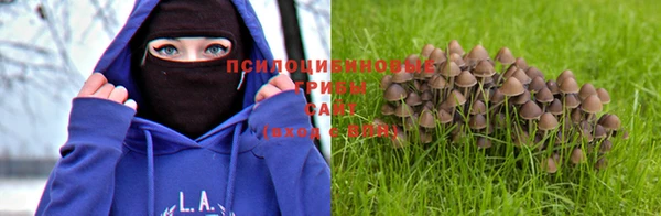 эйфоретик Нефтекумск